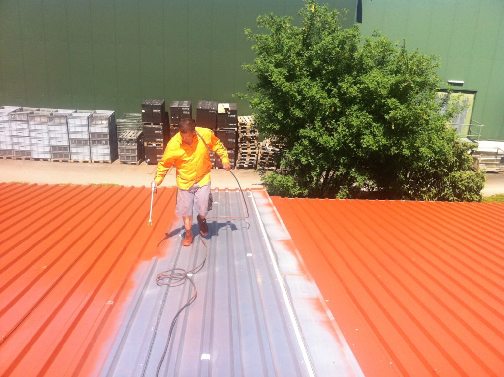 Gewerbeobjekt: Reinigung und Beschichtung eines Trapetzblechdachs