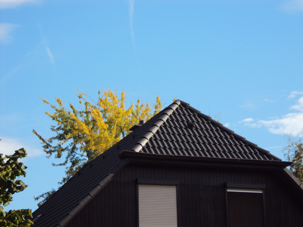 Dachreinigung und Dachbeschichtung Anthrazit