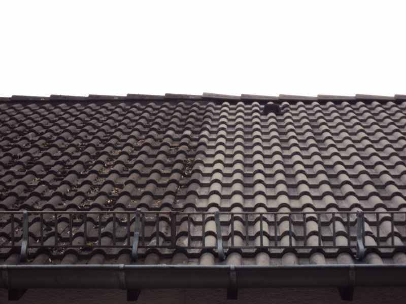 Dachsanierung bei einem Doppelhaus