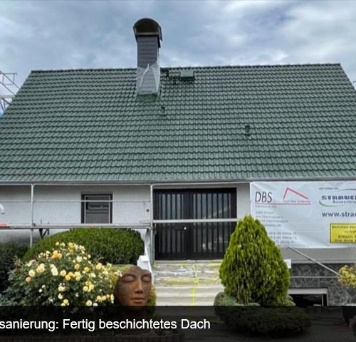Dachbeschichtung und Malerarbeiten, Einfamilienhaus