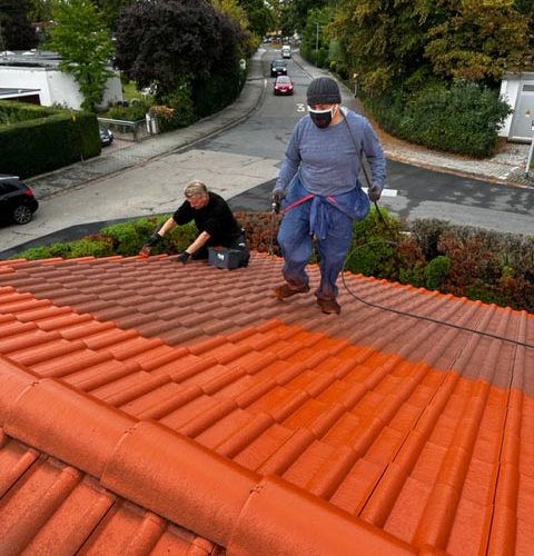 Private Dachbeschichtung in Seeheim-Jugenheim