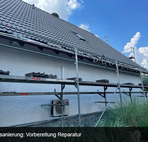 Dachbeschichtung und Malerarbeiten, Einfamilienhaus