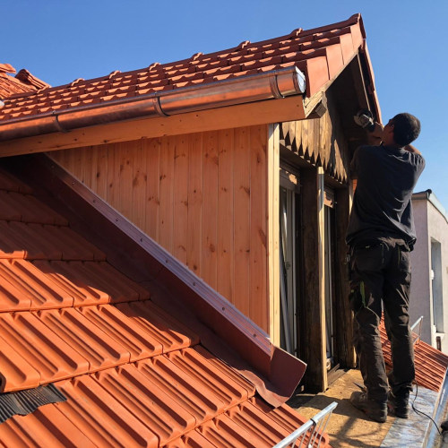 Dach und Fassade  an denkmalgeschütztes Altstadt-Objekt