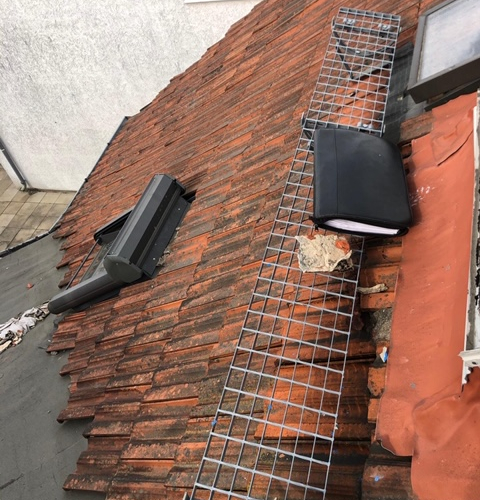 Dach und Fassade  an denkmalgeschütztes Altstadt-Objekt