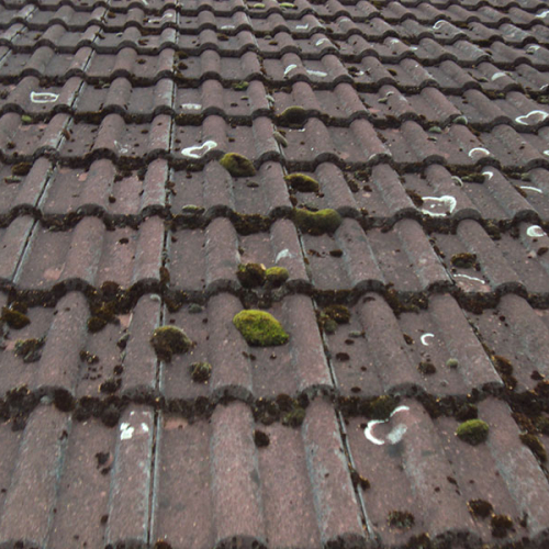 Sanierung des Daches eines 6-Familien-Hauses