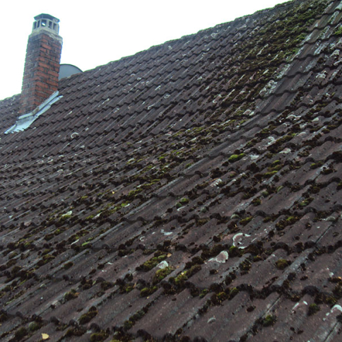 Sanierung des Daches eines 6-Familien-Hauses