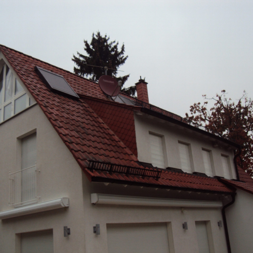 Reinigung und Beschichtung 25 Jahre alter Tondachziegel