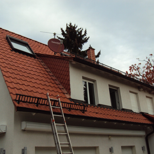 Reinigung und Beschichtung 25 Jahre alter Tondachziegel