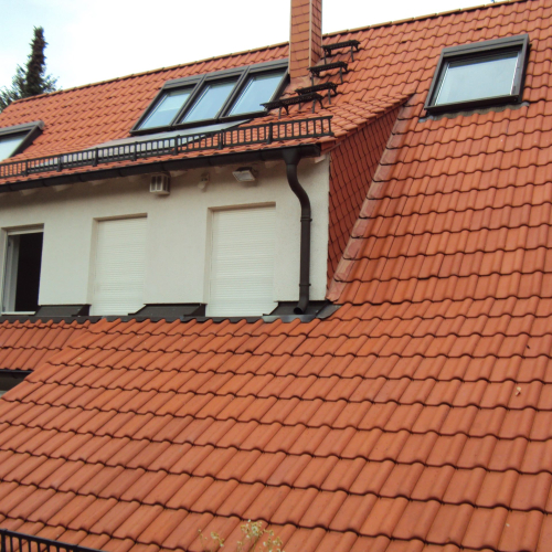 Reinigung und Beschichtung 25 Jahre alter Tondachziegel