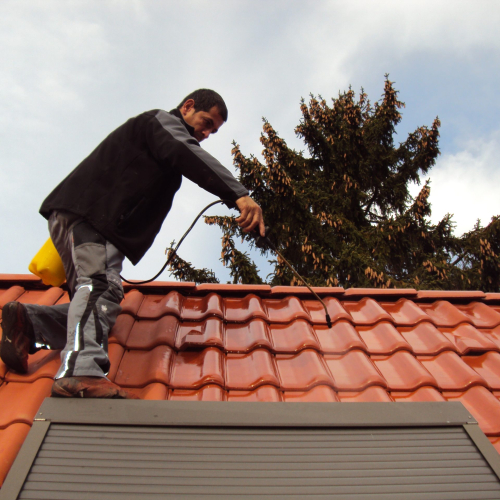 Reinigung und Beschichtung 25 Jahre alter Tondachziegel