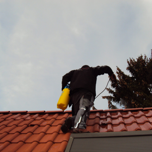 Reinigung und Beschichtung 25 Jahre alter Tondachziegel