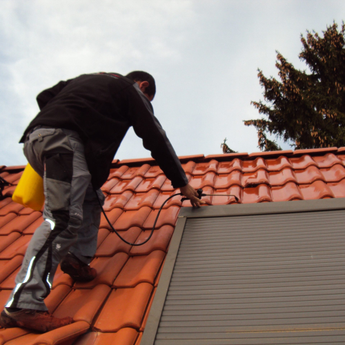 Reinigung und Beschichtung 25 Jahre alter Tondachziegel