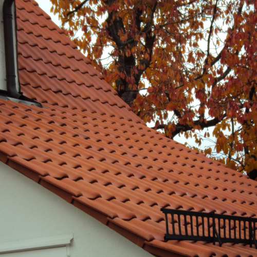 Reinigung und Beschichtung 25 Jahre alter Tondachziegel