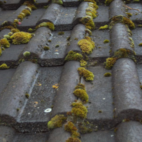 Sanierung eines Hausdaches