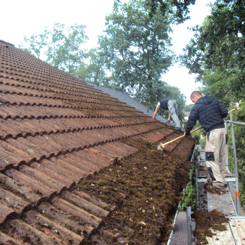 Dachreinigung nach Moosbefall