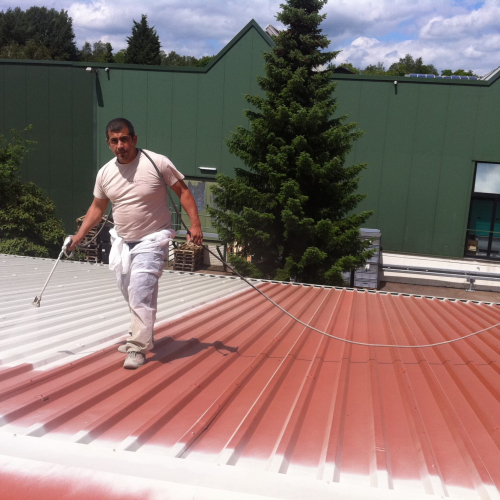 Gewerbeobjekt: Reinigung und Beschichtung eines Trapetzblechdachs