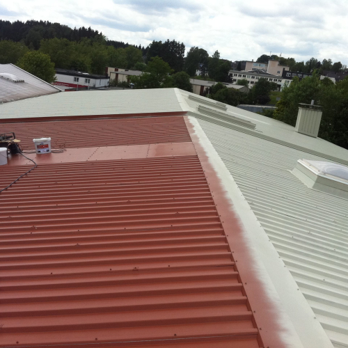 Gewerbeobjekt: Reinigung und Beschichtung eines Trapetzblechdachs