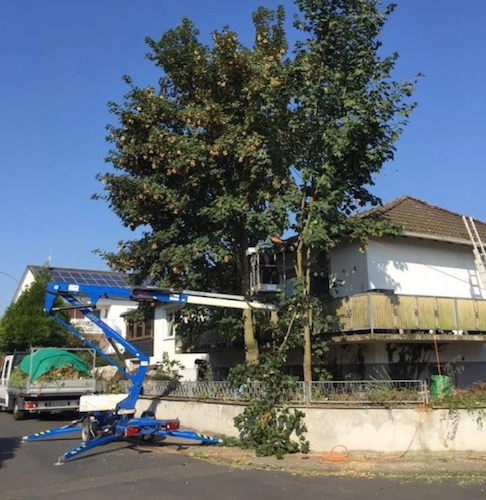 Baumfäller-Erdarbeiten-Gartenarbeit-Stützmauer errichten