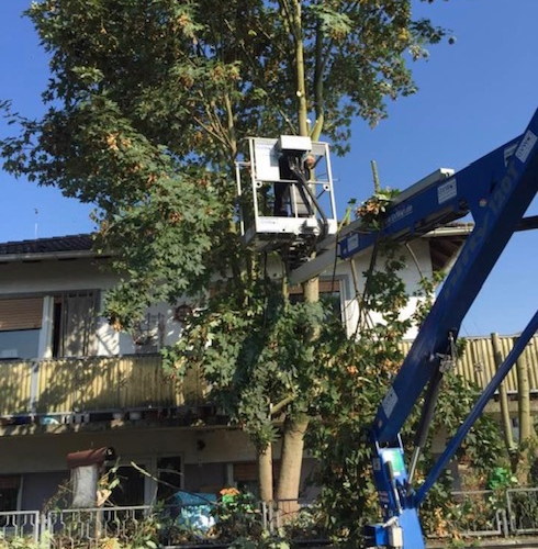 Baumfäller-Erdarbeiten-Gartenarbeit-Stützmauer errichten