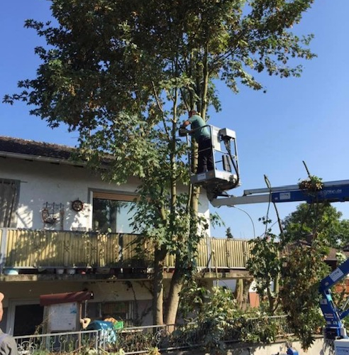 Baumfäller-Erdarbeiten-Gartenarbeit-Stützmauer errichten