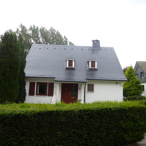 Reinigung, Grundierung und Dachbeschichtung