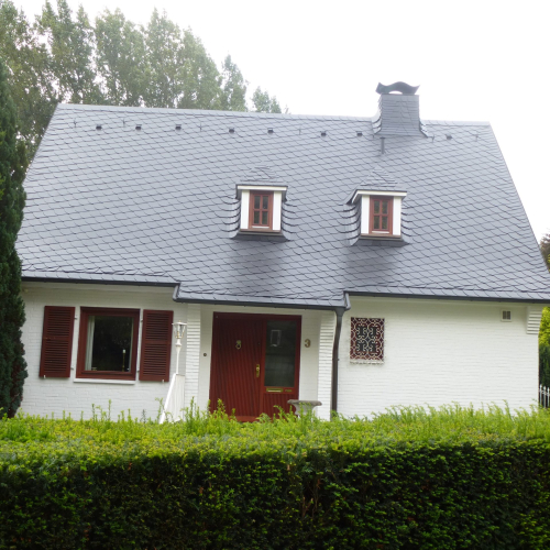 Reinigung, Grundierung und Dachbeschichtung