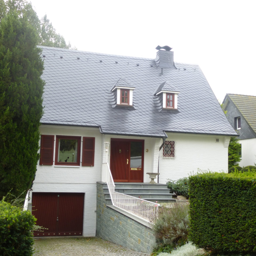 Reinigung, Grundierung und Dachbeschichtung