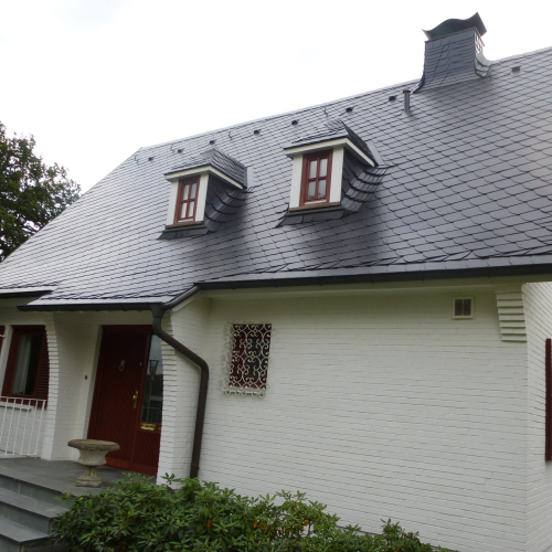 Reinigung, Grundierung und Dachbeschichtung