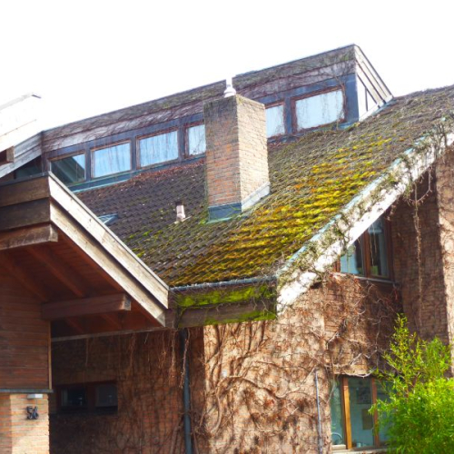 Reinigung und Beschichtung einer aufwändigen Dachkonstruktion