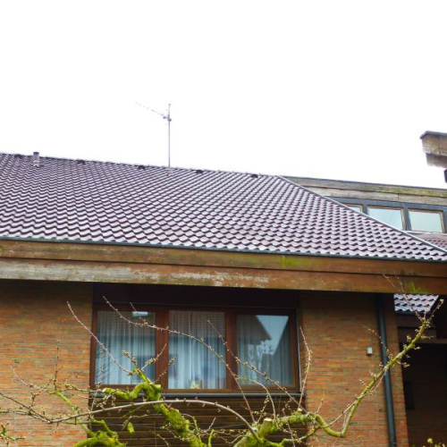 Reinigung und Beschichtung einer aufwändigen Dachkonstruktion