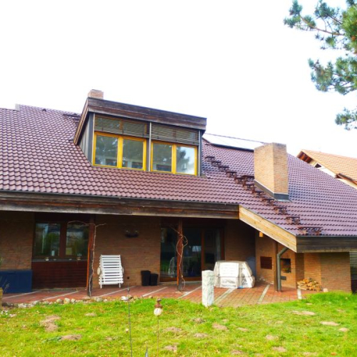 Reinigung und Beschichtung einer aufwändigen Dachkonstruktion