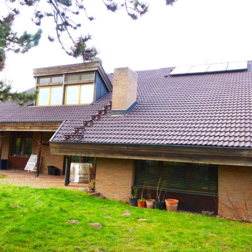 Reinigung und Beschichtung einer aufwändigen Dachkonstruktion