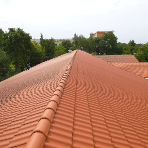 Dachreinigung und Beschichtung bei Lidl in Leipzig