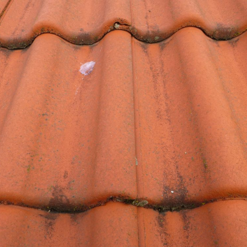 Dachreinigung und Beschichtung bei Lidl in Leipzig