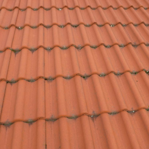 Dachreinigung und Beschichtung bei Lidl in Leipzig