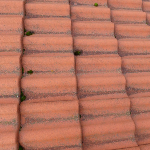 Dachreinigung und Beschichtung bei Lidl in Leipzig