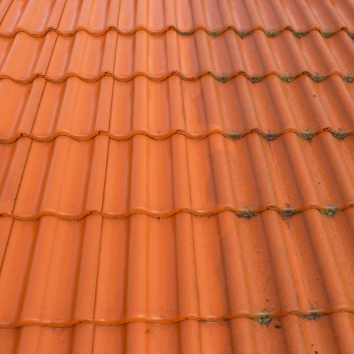 Dachreinigung und Beschichtung bei Lidl in Leipzig