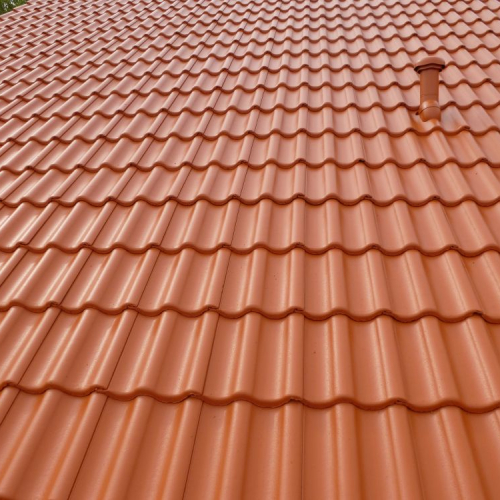 Dachreinigung und Beschichtung bei Lidl in Leipzig