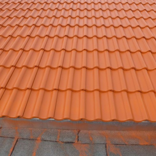 Dachreinigung und Beschichtung bei Lidl in Leipzig