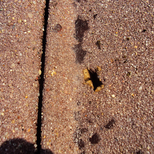 Dachreinigung und Dachbeschichtung am Walmdach