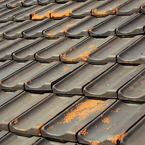 Dachreinigung und Dachbeschichtung am Tonziegel