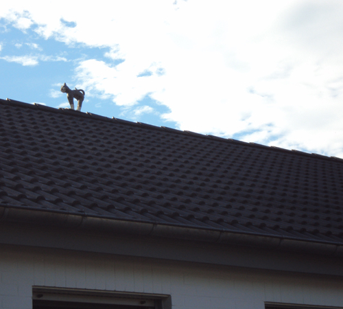 Dachreinigung und Beschichtung in Anthrazit und Edelschwarz