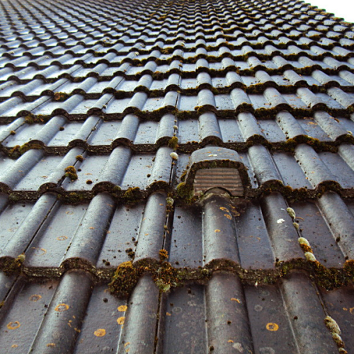 Dachreinigung und Dachbeschichtung am Satteldach