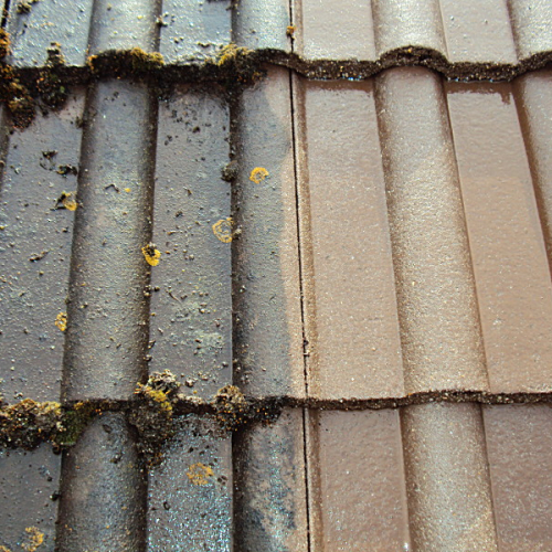 Dachreinigung und Dachbeschichtung am Satteldach