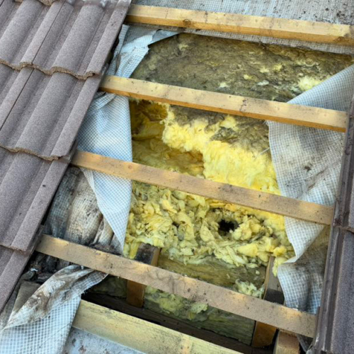 215m² dunkelbraun - Reinigung und Beschichtung NANO-TOP - Marderschaden